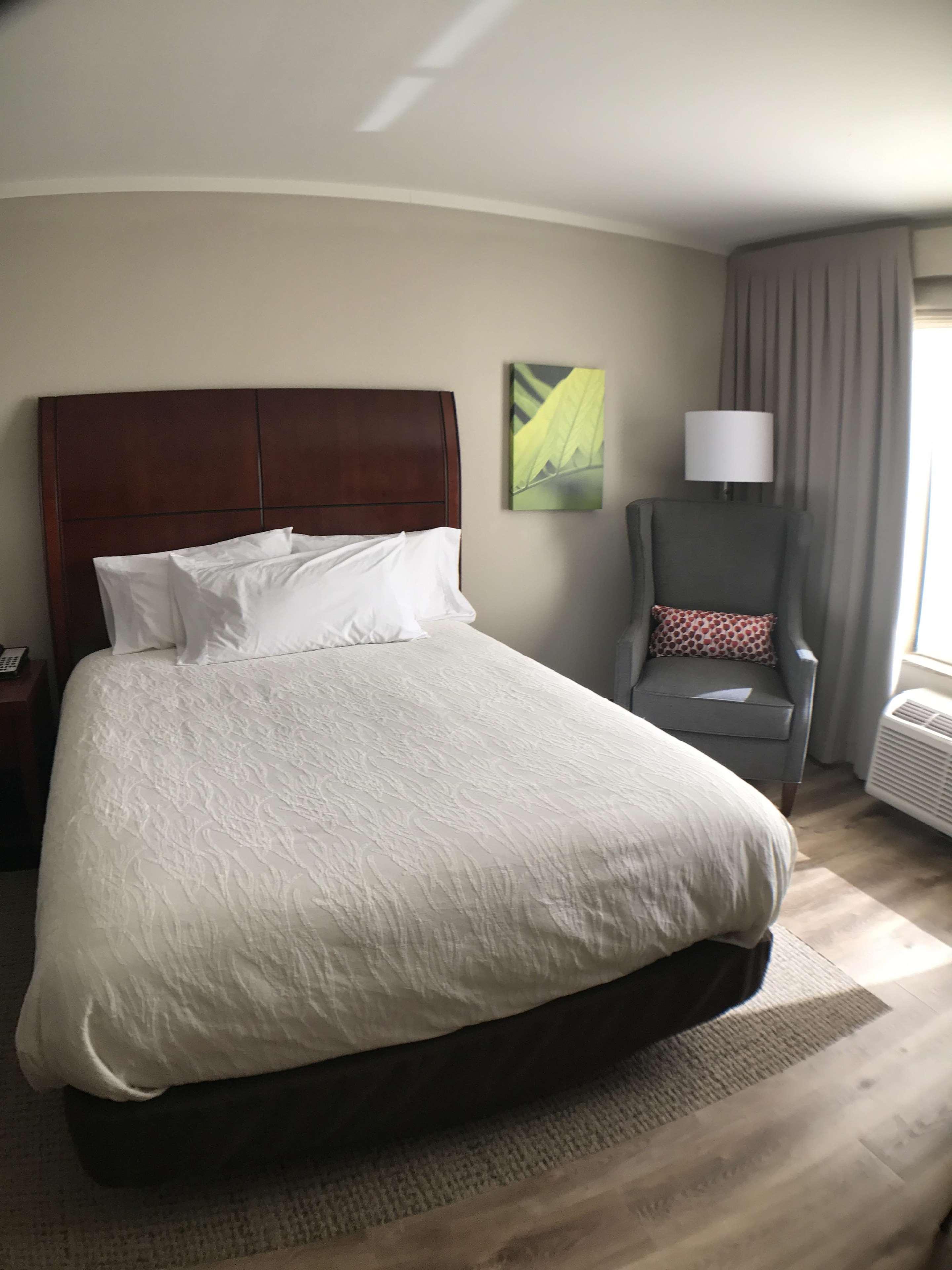 Hilton Garden Inn Bowling Green Dış mekan fotoğraf