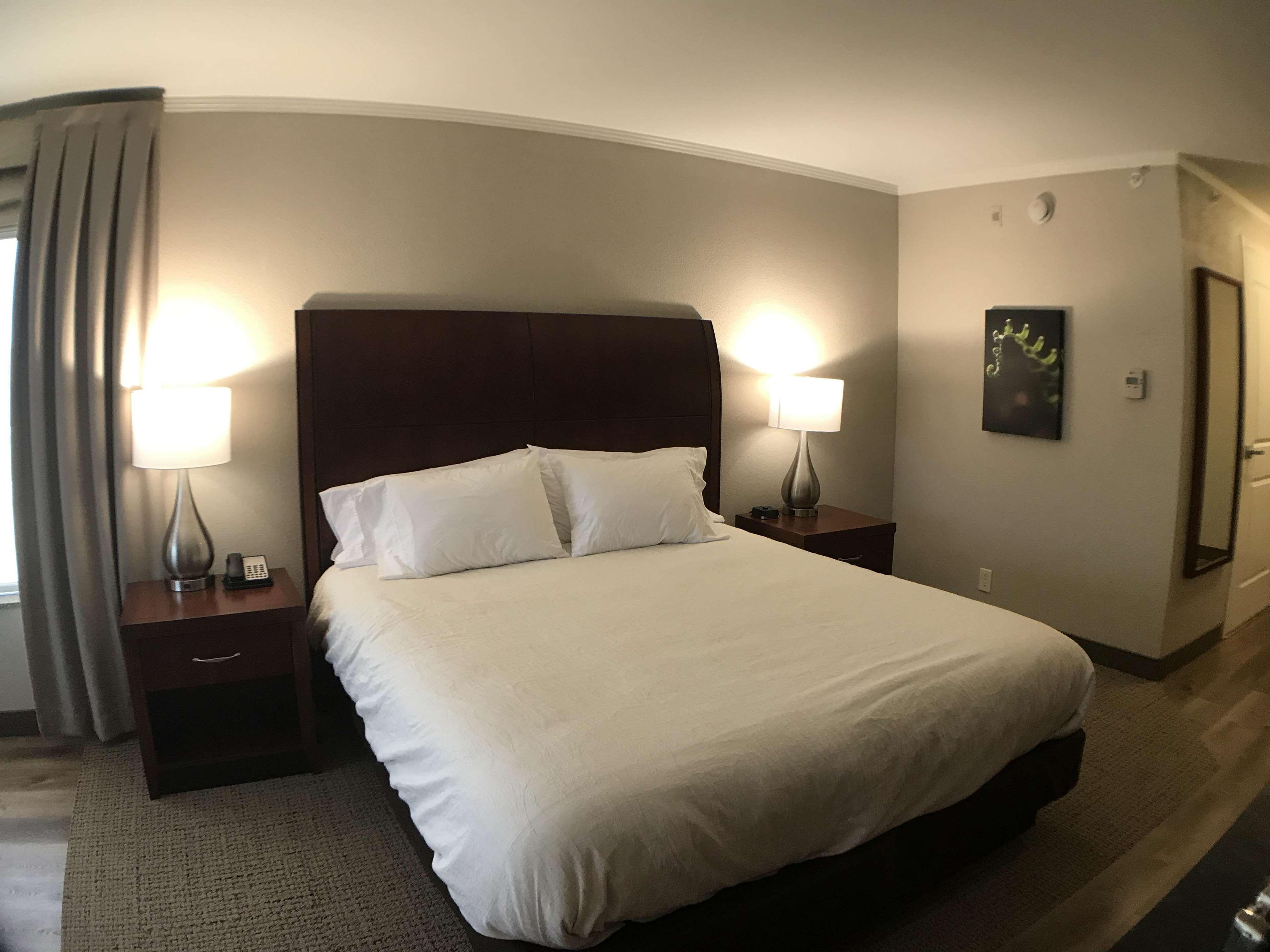 Hilton Garden Inn Bowling Green Dış mekan fotoğraf